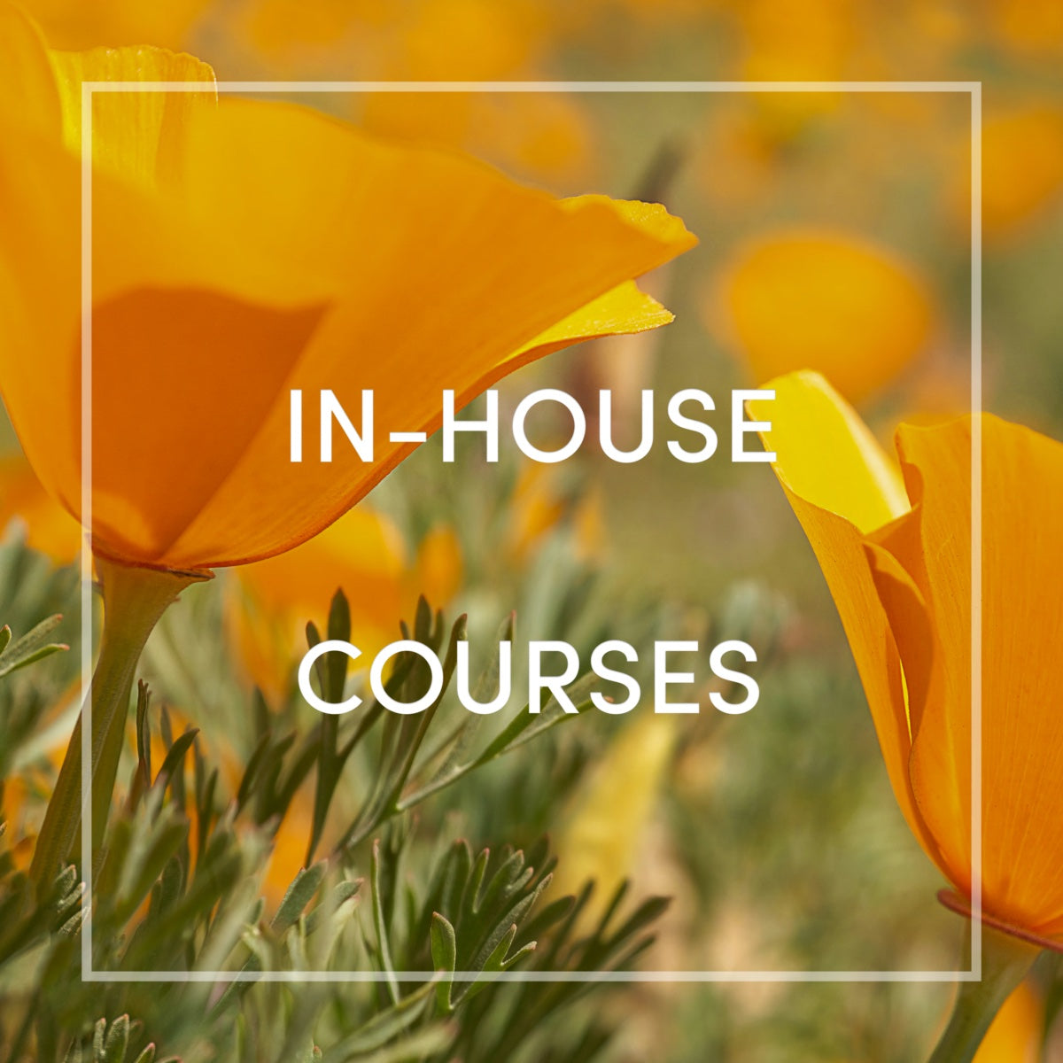 In-House Course Registration - Lafayette