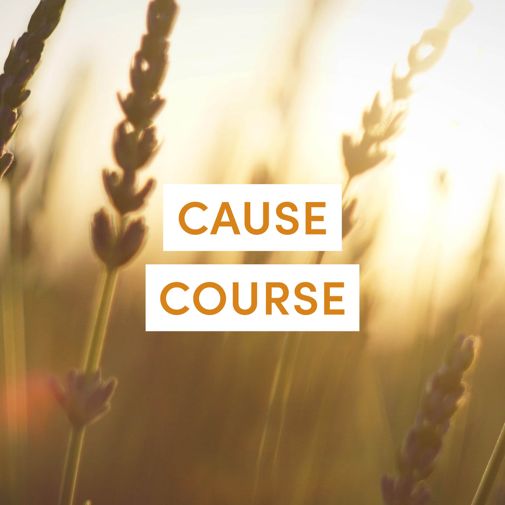 Cause Course